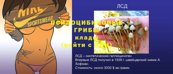 эйфоретик Арсеньев